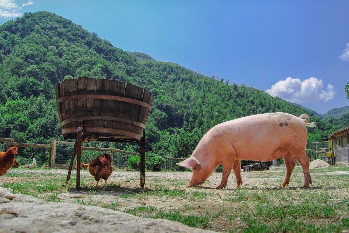 Agriturismo La Ferrera Varco Sabino 외부 사진